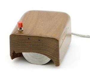 the first mouse