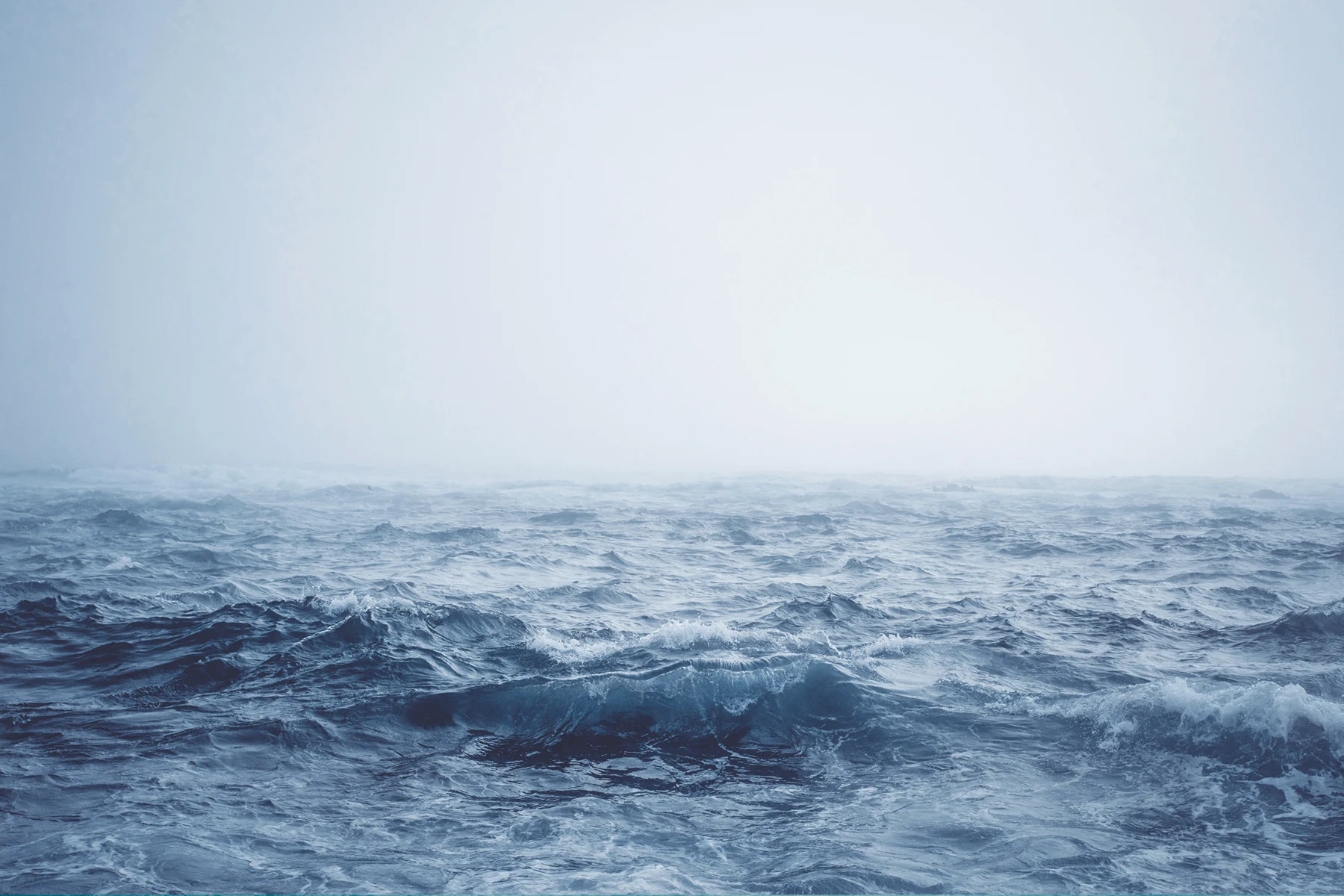 Pirate Alliance — project image 1